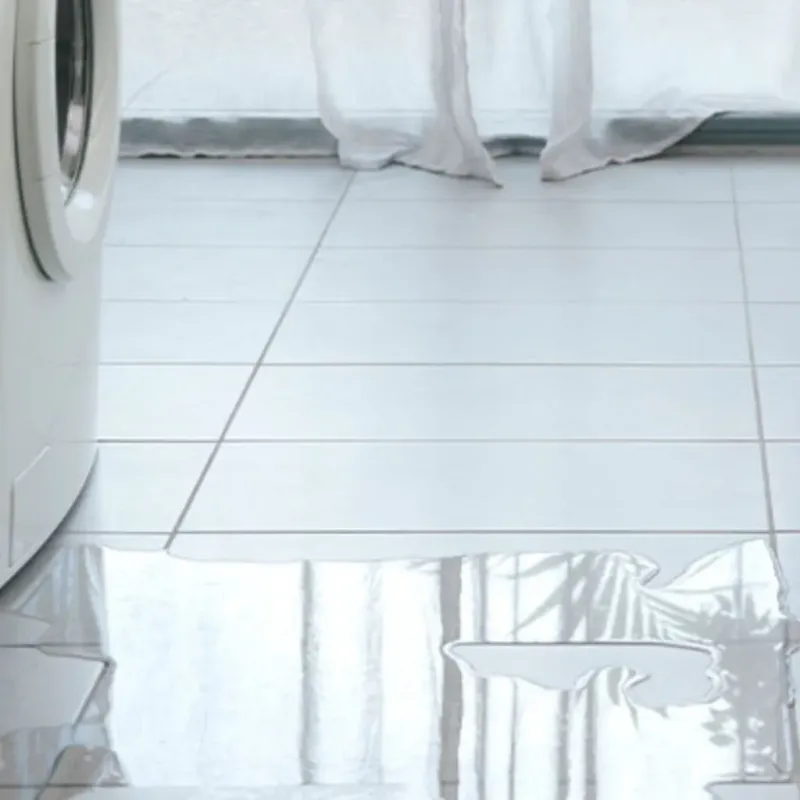 Appliance Leak Cleanup in Claryville, KY