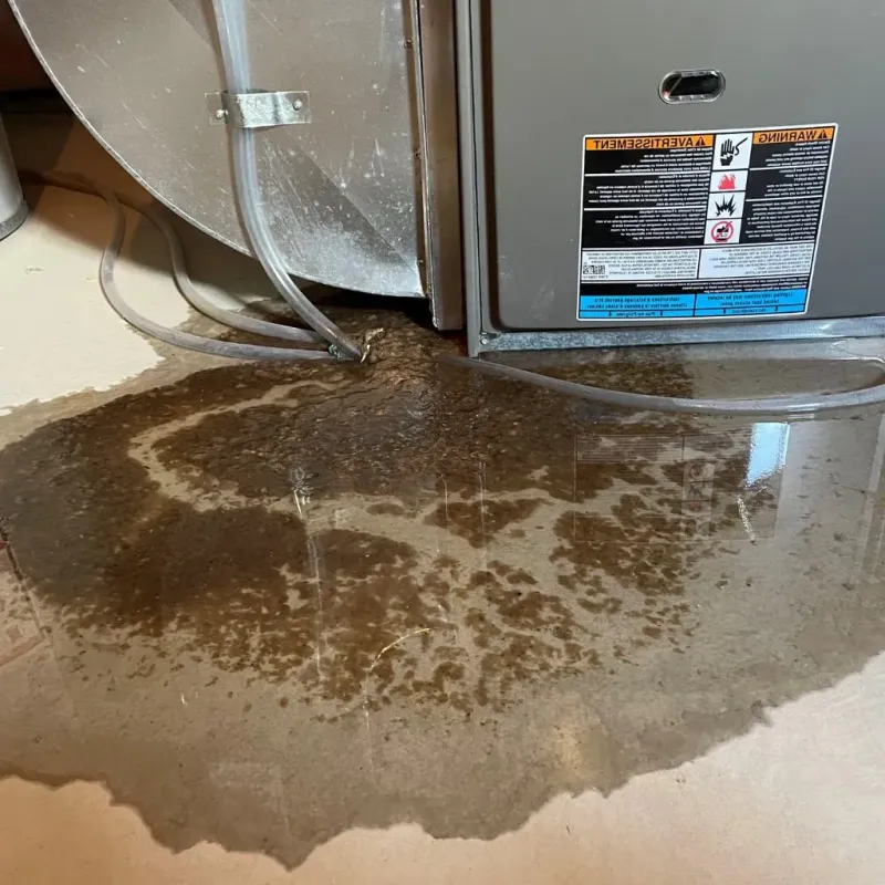 Pipe Burst and Leak Restoration in Claryville, KY