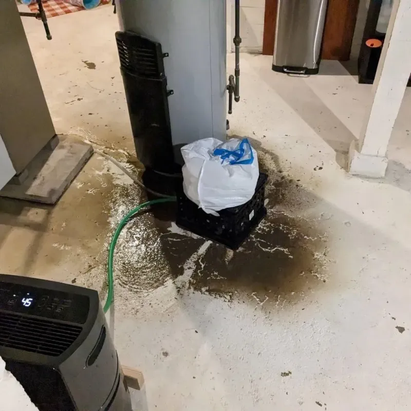 Sewage Backup Cleanup Service in Claryville, KY